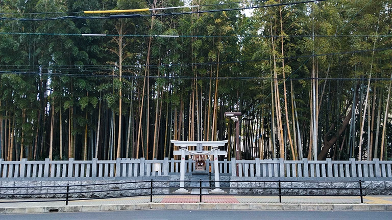 八幡の藪知らず（千葉県市川市）