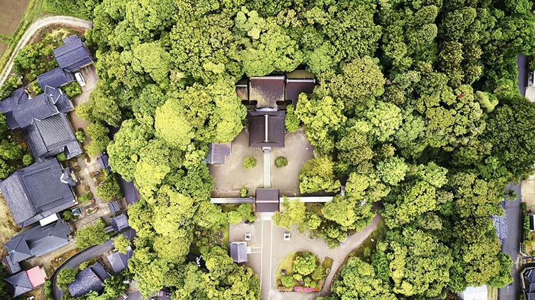 入らずの森：神々の聖域として守られた禁足地