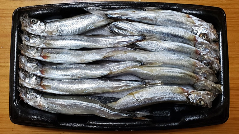 本物のししゃもと代用魚カラフトシシャモの違い