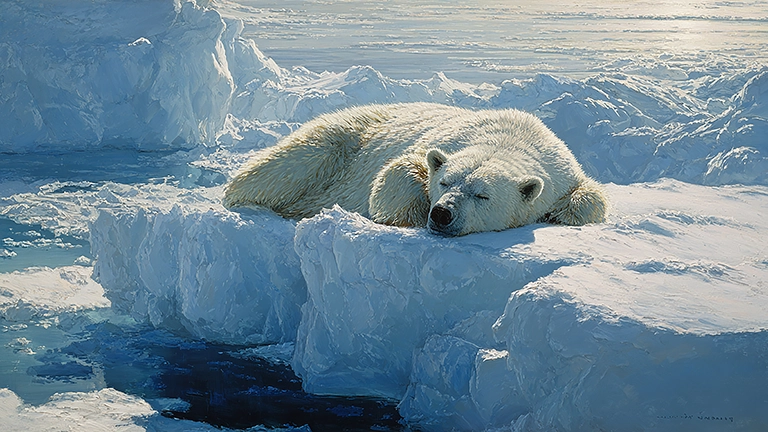 ホッキョクグマ冬眠するの？