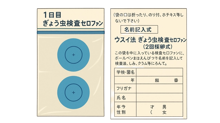 蟯虫（ぎょうちゅう）検査