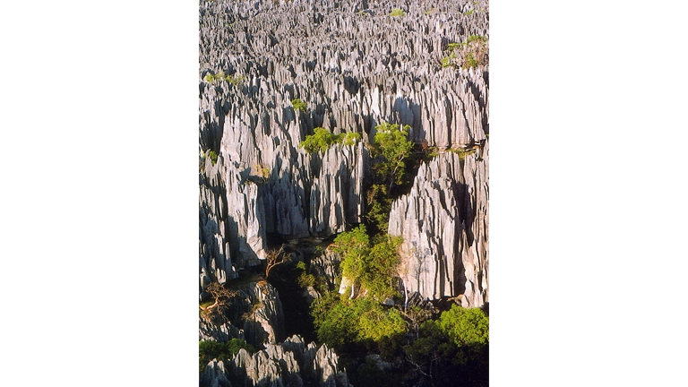 ツィンギ・デ・ベマラ