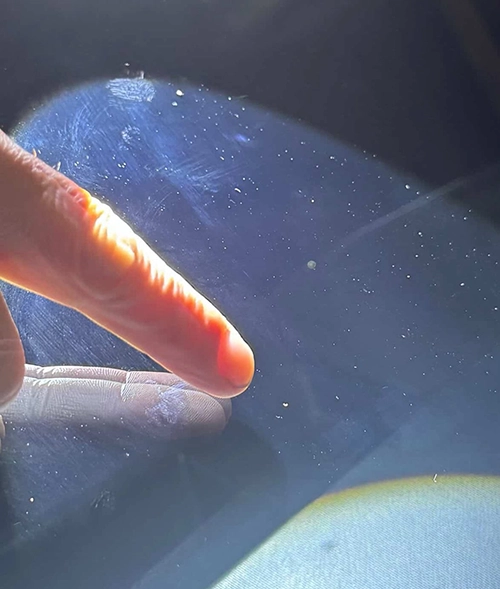 ニコニコレンタカー SNS