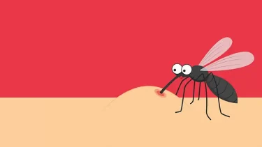 虫よけ対策、それだけで大丈夫？蚊を通して媒介する病気と、本当に有効な対策方法！
