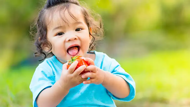 離乳食初期のトマトデビュー！調理法や栄養について知っておこう！4つのアレンジレシピ