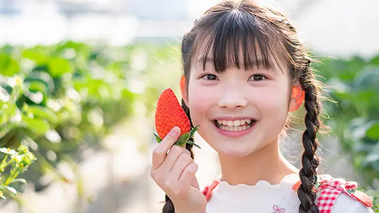 子供とイチゴ狩りに行こう！親子で楽しめる横浜周辺のイチゴ狩りスポット5選