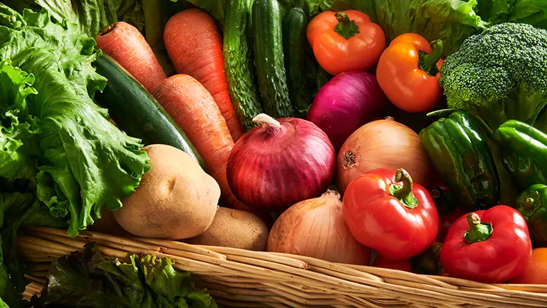 野菜好きの子供にするための知っておきたい知識と子供が喜ぶ簡単レシピ「5・6月の野菜」