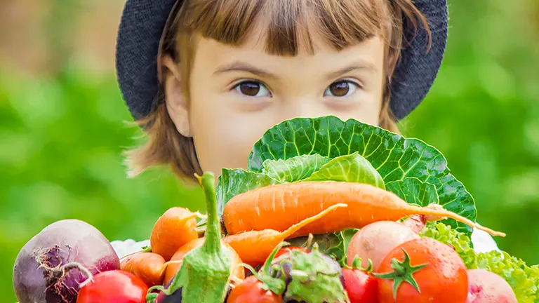子供の野菜嫌いも克服できる！夏野菜の家庭菜園の始め方
