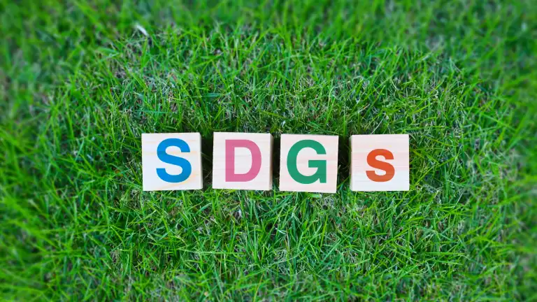 【SDGs】未来のために!子どもと簡単にできる5つの取り組み