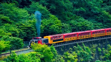 【京都】子鉄・ママ鉄必見！京都市内から乗れるワクワクしちゃう電車