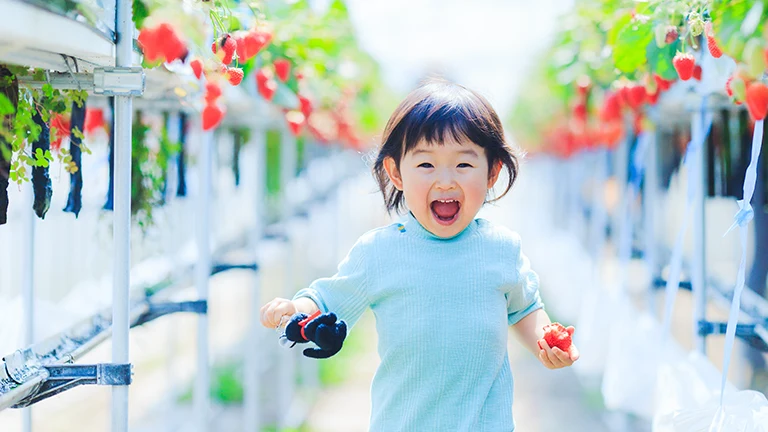 イチゴが大好き！横須賀・三浦でおすすめのイチゴ狩りスポット3選