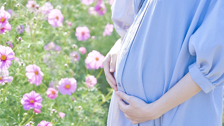 妊娠22週目の胎児と母体の変化！健やかな妊娠生活のための健康管理