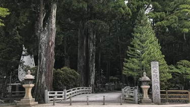 禁断の場所…絶対に近寄るな！日本に実在する禁足地