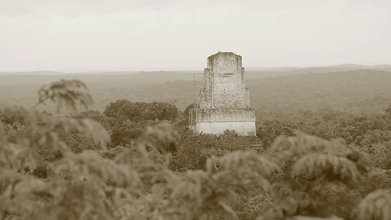 【正体不明】グアテマラに存在する世界中がざわついた「白人巨石人頭」の謎