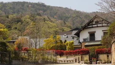 圧巻の街並み！芦屋市『六麓荘町』超高級住宅街の独自ルールの真相とは？