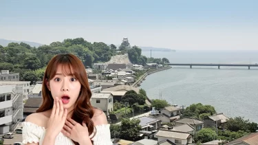 え、バグってる！？大分県杵築市はなぜ日本一家賃が安いと言われるのか…深すぎる理由とは