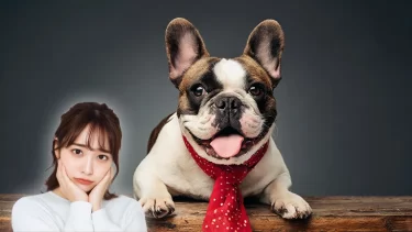可愛いの裏が切なすぎる…ブルドッグの愛らしさの影にある悲しい現実
