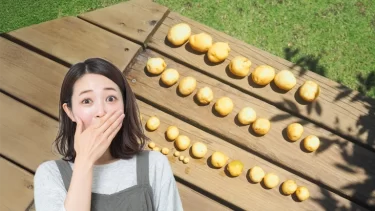 じゃがいものパラドックス