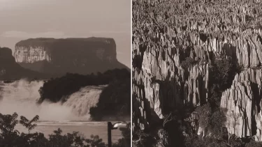 【衝撃】地球最後の未踏の地…数億年の時が生んだ奇跡の秘境2選