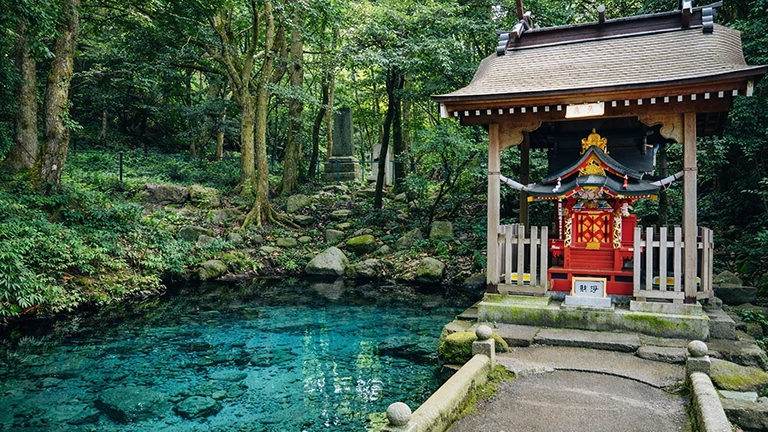 初詣前に知ってほしい…その小銭、願掛けじゃないかも？神社の池で起きている「ありがた迷惑」な投げ銭問題