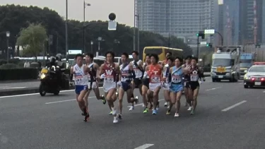 箱根駅伝のポメラニアン暴走問題、悪いのは飼い主？犬？「ノーリードって親がバカだろ」「飼い主が悪いの典型例」「選手が可哀想すぎる」SNSで大炎上