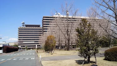 熊本市で中学生が囲まれ暴行を受ける動画が拡散「胸糞悪すぎる」「少年だからって守る必要ない」「こいつらの人生終了させましょう」「全員の名前を晒せ」SNSで批判殺到