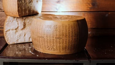 え、チーズが担保に？冗談みたいで本当の話…イタリアの融資制度が想像以上に衝撃すぎる