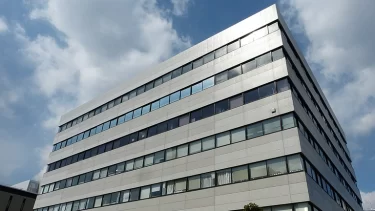 愛知県新城市の大型犬咬傷事件