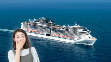 ジャパネットクルーズが爆売れ…150億円稼ぐ成功への戦略が天才的すぎた