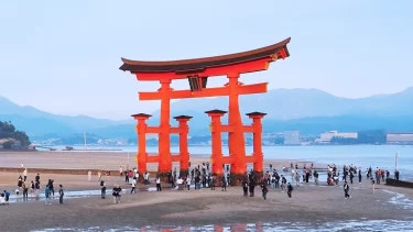 え、観光客が来すぎて赤字！？世界遺産・宮島で深刻化するオーバーツーリズムの現実が深すぎた