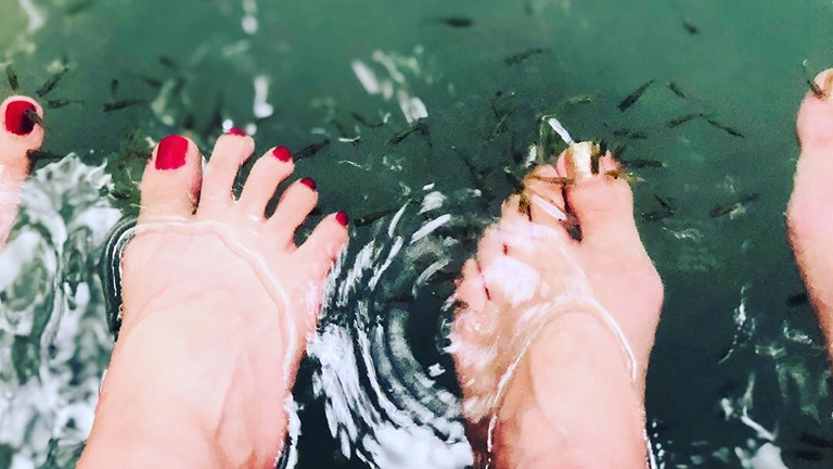 あれ最近見ないよね？人気だったドクターフィッシュ消えたワケ…実は想像以上に深い事情があった