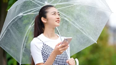 実はビニール傘大国だった「日本人の傘を買いすぎ問題」が抱える事情と現実とは？
