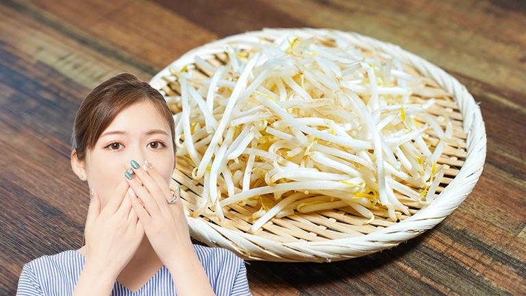 もう限界です…モヤシ業界が崩壊寸前？生産者を廃業へを追い詰める…安売り競争の悲惨な末路