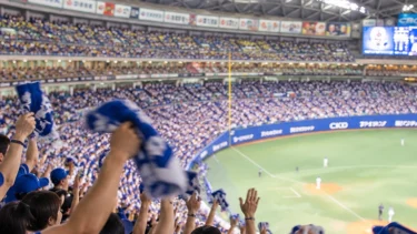 え、テレビから消えたのに…プロ野球の観客動員数が史上最多？球場に人が殺到する意外な理由が想像以上にスゴかった